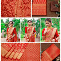 Royal Red Banarasi Silk Saree with Gold Zari Weaving