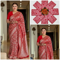 Red Banarasi Silk Saree - Holding Pallu